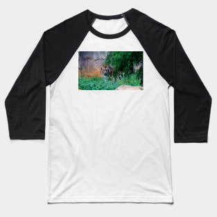 Siberian Tiger Baseball T-Shirt